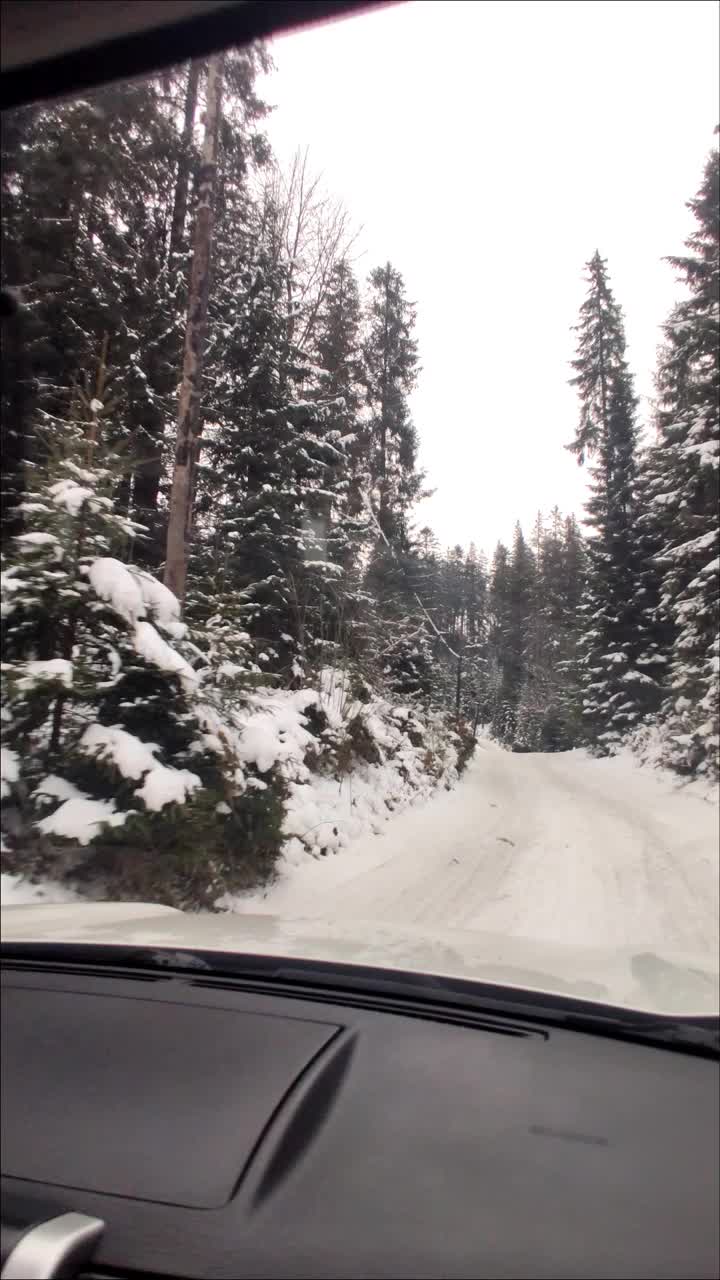 在雪山的森林里开车前进