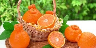 橙子水果与橙子片和树叶在木箱，德科朋橘子或相扑柑橘与树叶在花园里。