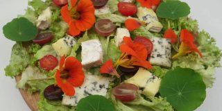 点心莴苣叶，蓝奶酪，樱桃番茄，葡萄浆果和可食用旱金莲花，背景