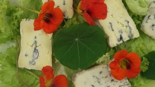 莴苣叶，蓝奶酪和可食用的旱金莲花视频素材模板下载