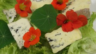 莴苣叶，蓝奶酪和可食用的旱金莲花视频素材模板下载