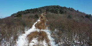 实时/鸟瞰图的冬季森林在雪