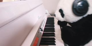 毛绒玩具熊猫弹奏电子钢琴琴键，耳机落下。音乐播放的乐趣。