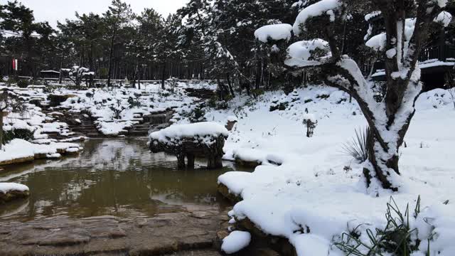 白雪皑皑的河流，森林和河流在冬日里，空中飘雪的河流