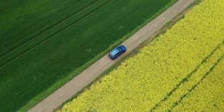 从空中俯瞰，一辆蓝色的汽车行驶在黄色油菜地之间的乡间小路上