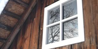 旧谷仓墙上的白色窗户，玻璃上的树的倒影
