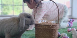 棕色小兔子留在小女孩的前面，它吃干草前离开现场