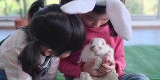 亚洲妹妹在家里过复活节的时候在客厅亲吻兔子，和姐姐一起玩耍