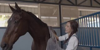 可爱的年轻亚洲女人照顾一匹棕色的马在马厩