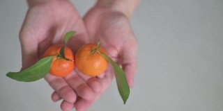 手掌握着中国新年传统橘子