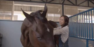 年轻的亚洲妇女在马厩里刷和清洁她的深棕色的种马