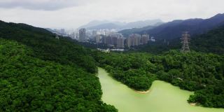 香港金山郊野公园九龙水塘