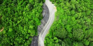鸟瞰图的乡村道路在绿色的夏季森林。香港的乡郊景观