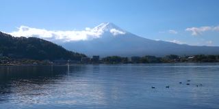 富士山和水鸟景观1