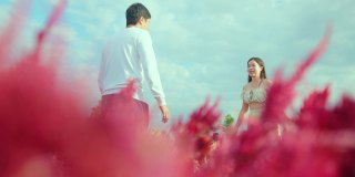 年轻的恋人夫妇有吸引力的亚洲人穿着休闲服装牵手和拥抱一起移动身体沿着红色美丽的鲜花自然农场幸福旅游的概念
