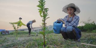 白人男性和亚洲女性年轻的农民在夕阳下的有机农场工作，年轻的妇女坐在种植植物，而年轻的男子铲土壤的农业工人的概念，农业活动，农场，和水果产品。