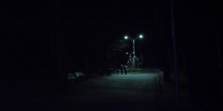 晚上在公园散步。晚上空旷的城市公园里的街道或小路。灯笼发出的光。人们行走。从回来。多雾，凉爽的冬夜