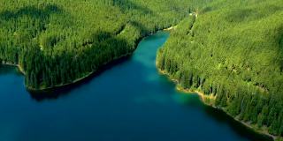 绿松石水在山上森林湖泊与松树。蓝色的湖泊和绿色的森林鸟瞰图。观湖间山林。越过晶莹剔透的高山湖水。淡水