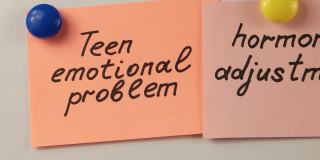 描述青少年情绪问题及其解决方案的词语，陈述