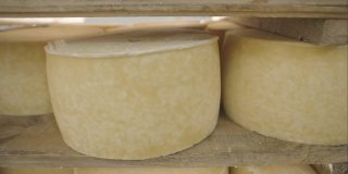 牛奶奶酪，储存在一个木制的架子上，让它成熟-手推车运动