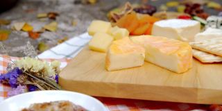 一个女人的手切欧洲奶酪在奶酪拼盘吃的镜头，享受野餐时间在热带花园。