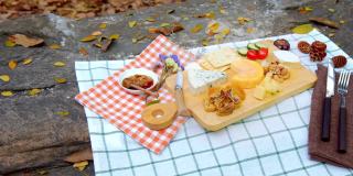 什锦奶酪和熟食拼盘组成的Camembert，蓝色和豪达，混合干果，坚果在热带花园的背景。
