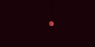 放大了夜空中的红月亮。