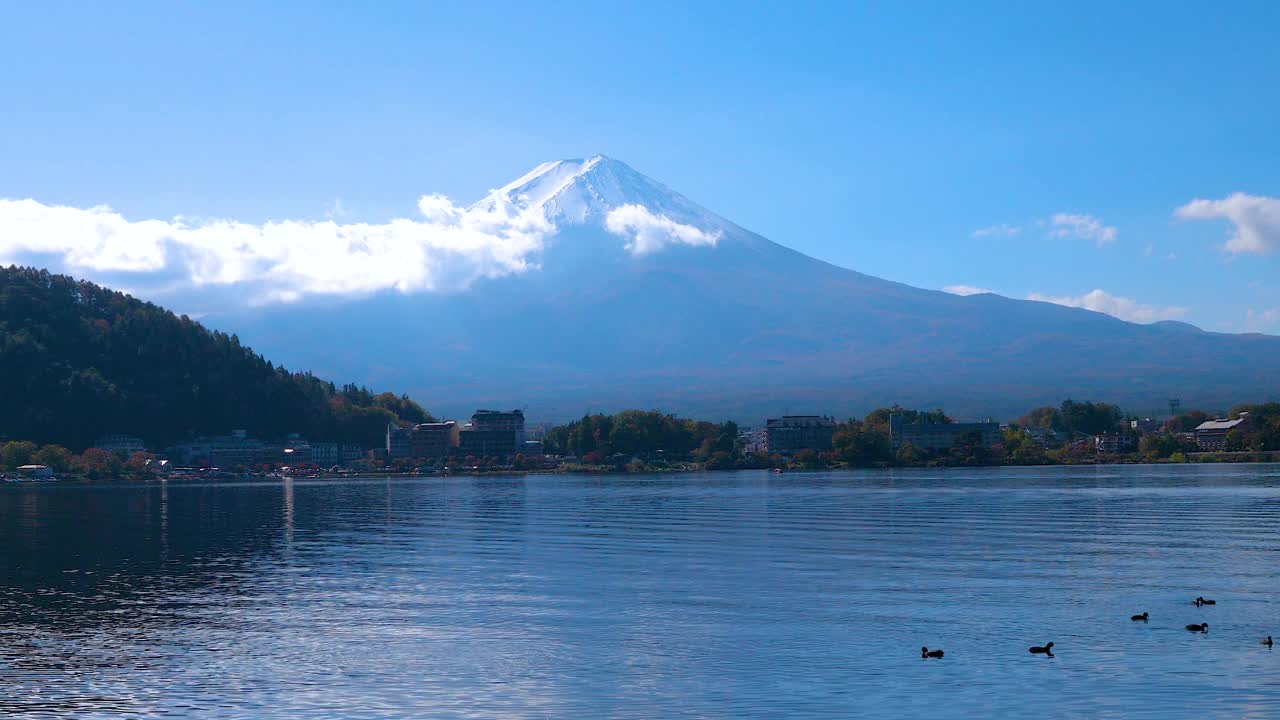 风景有富士山和水鸟