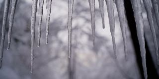 Icicle-close-up