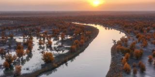 塔里木河流经塔克拉玛干沙漠，河两岸是胡杨林