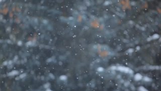雪树背景的镜头视频素材模板下载