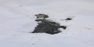 冬天结冰的河流上的冰洞