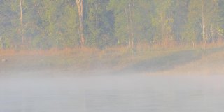 多莉拍摄的雾和雾在湖面上缓慢移动。