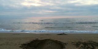 贝壳在海滩。海滩上的贝壳摄影。海滩上的贝壳。蓝色的大海，海浪和海滩。碧波荡漾，碧波荡漾。蓝色阳光明媚的海滩