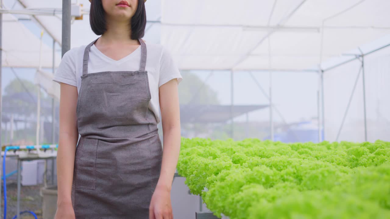 亚洲女农主在蔬菜水培农场工作与幸福。年轻女子交叉手臂，看着镜头微笑，幸福和骄傲在温室农场。