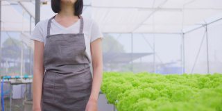 亚洲女农主在蔬菜水培农场工作与幸福。年轻女子交叉手臂，看着镜头微笑，幸福和骄傲在温室农场。