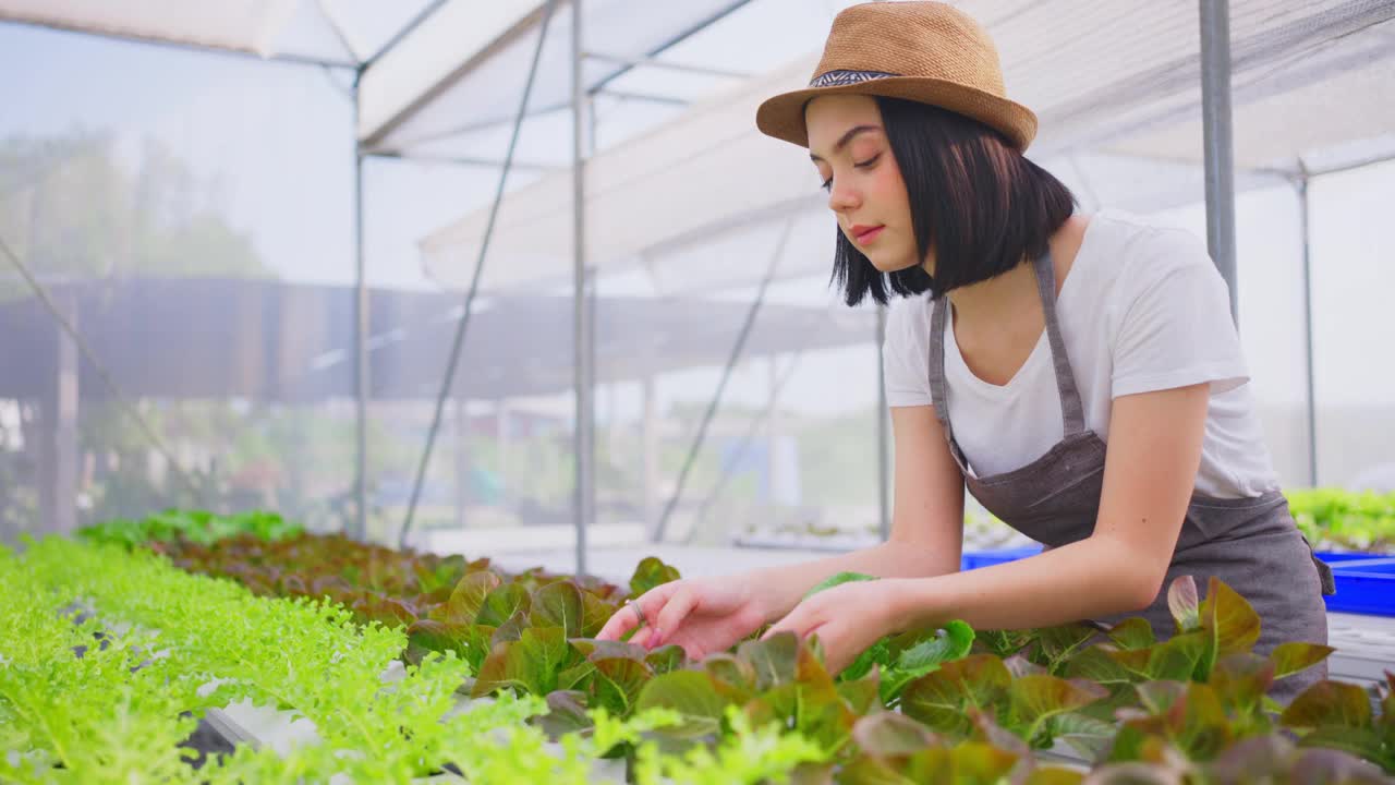 年轻的白人农民漂亮的女孩在蔬菜水培农场工作与幸福。她正在用手检查绿橡树的质量。从侧面看。健康食品的生意。