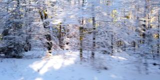 从车窗看冬天下雪的森林