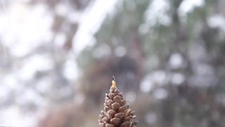蜡烛在风中燃烧。小蜡烛燃烧在模糊的雪背景视频素材模板下载