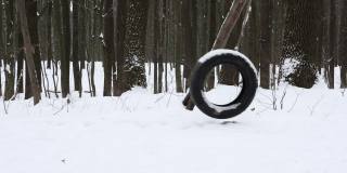 在冬天的森林里，高大的冰雪覆盖的树木上，从一个轮子上荡秋千。秋千上没有人，橡胶轮胎挂在树上。冬天的背景。