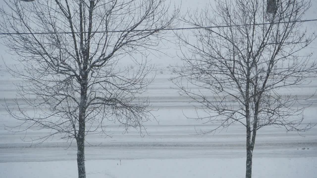 下雪限制了能见度的道路与汽车