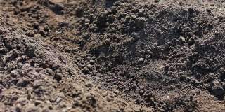 在阳光明媚的天气里，一个穿着灰色格子衬衫的男人在黑色的土壤里种植小洋葱
