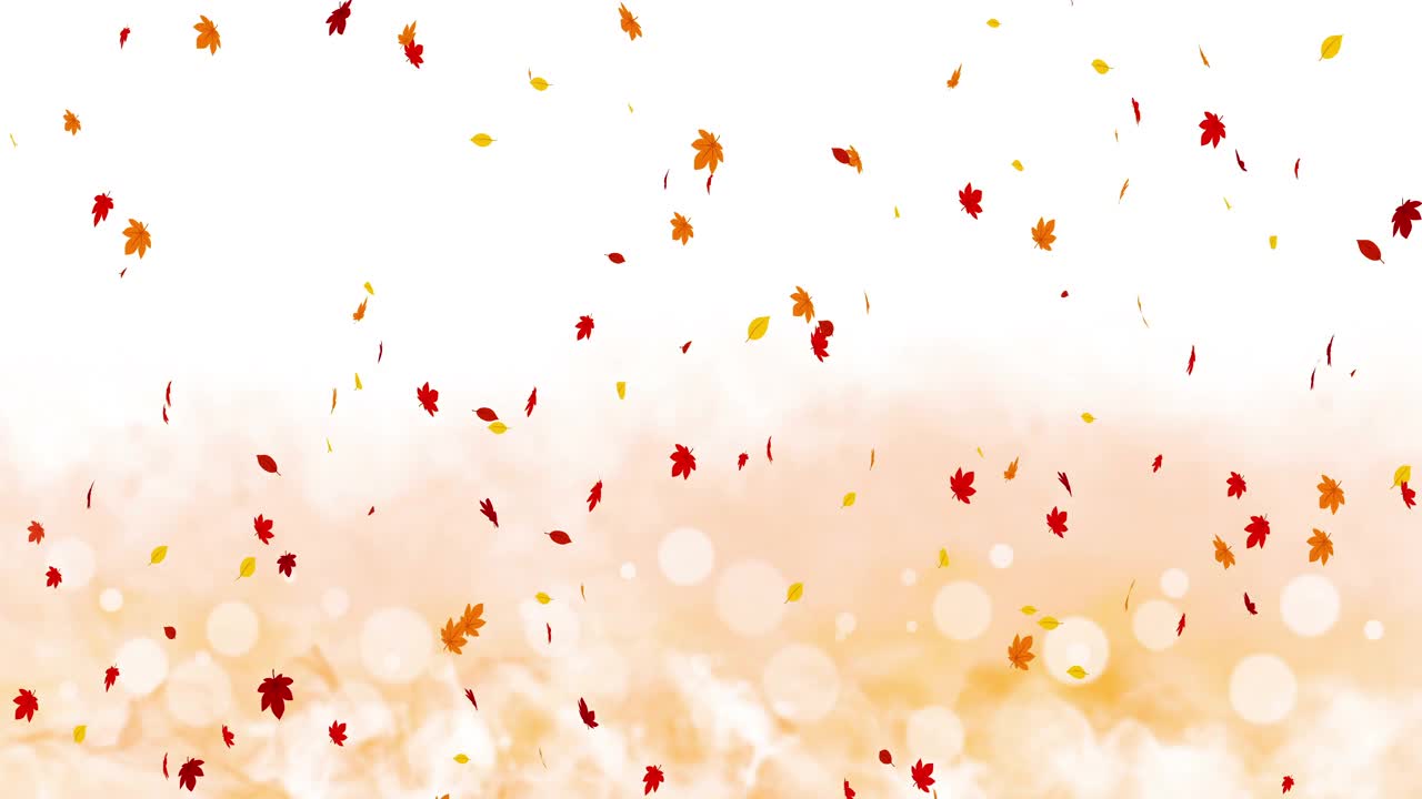 色彩鲜艳的树叶在秋天的阳光下摇曳。美丽的自然风景。插图枫叶。抽象图形。循环动画。