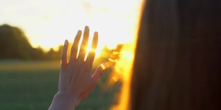 日落时分，妇女们在麦田边用手触摸太阳