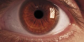 男性眼球近距离3d眼部扫描技术。增强现实。面对id。