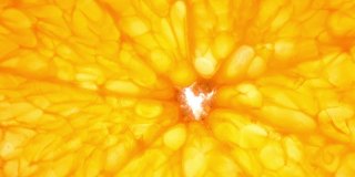 顶部视图在白色背景上旋转橙色切片，关闭透明橙色切片抽象背景。