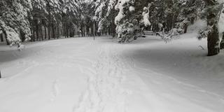 冬天的观点。在冰雪覆盖的冬季森林里拍摄视频、登山和徒步旅行。