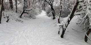 冬天的观点。在冰雪覆盖的冬季森林里拍摄视频、登山和徒步旅行。