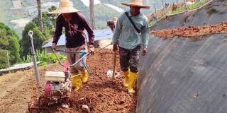 亚洲男性农民用手摇拖拉机在山坡上犁地