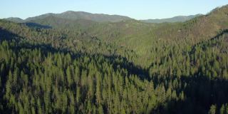 在盐溪的加利福尼亚原始森林无人机鸟瞰图
